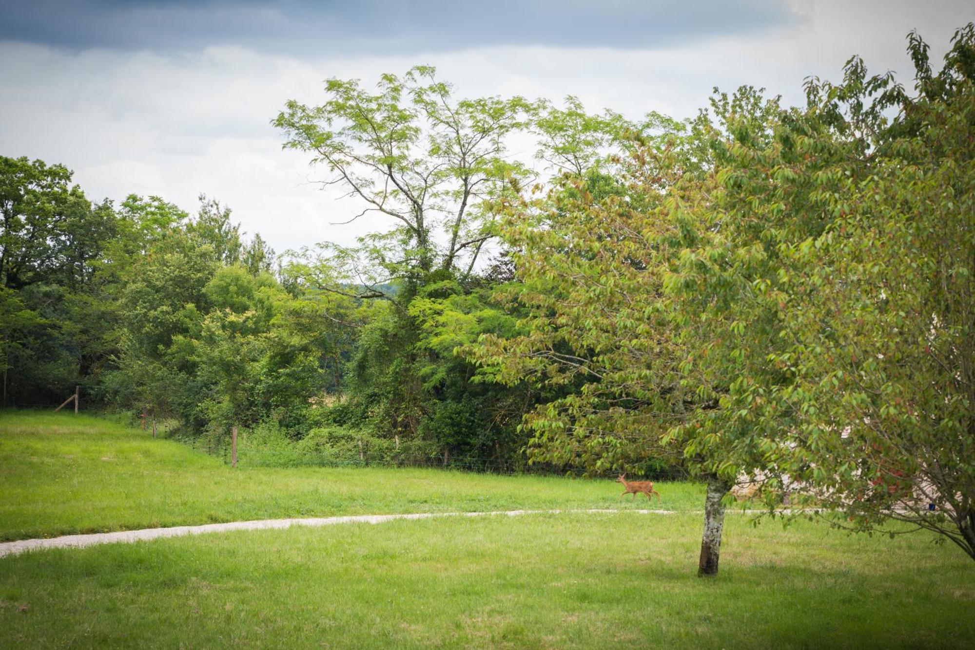 ホテル Domaine De L'Ecorcerie Fontaine-le-Comte エクステリア 写真